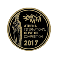 Diagonismos Athena International 2017